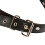 Panty Penetrator Strap On 3