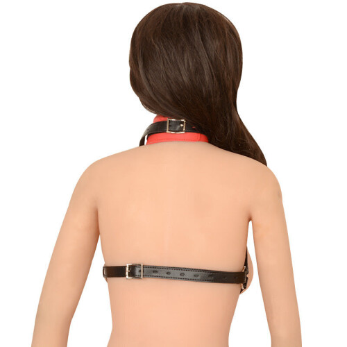 Red and Black Collar Breast Harness Restraint 1