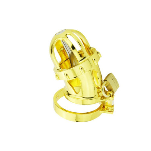 Gilded Cage Chastity Device 1
