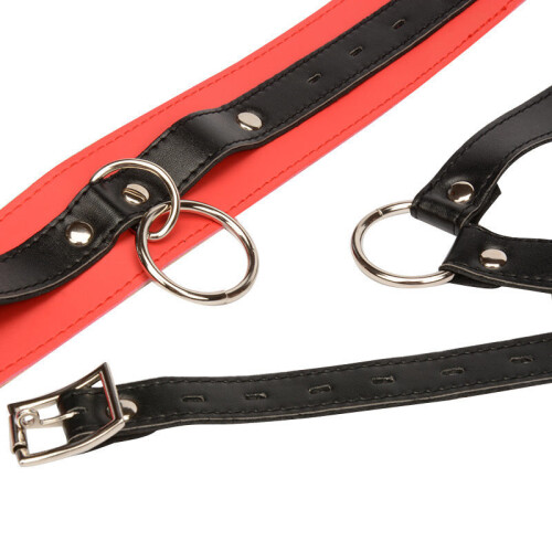 Red and Black Collar Breast Harness Restraint 2