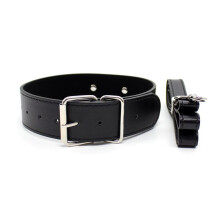 Buckle Strap Faux Leather Bondage Collar and Lead (Pink)