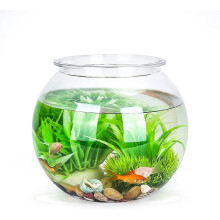 Fishbowl. Heilwiy Round Aquarium Plastic. Heilwiy 20 Cm