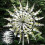 Unique Magical Metal Windmill Outdoor Wind Spinners Courtyard Patio Garden Decor 3