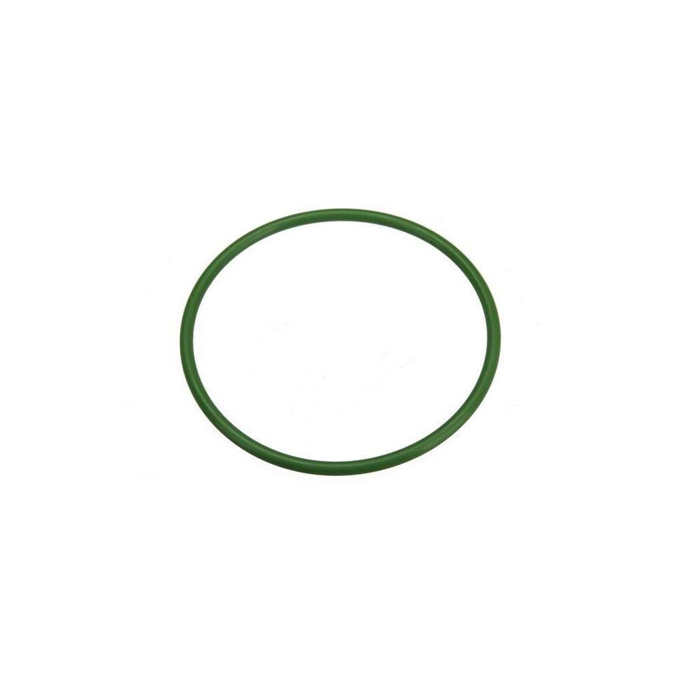 Uro Parts Ni0515882 Fuel Pump Seal 194316084295