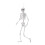 Living And Home (155cm) Posable Skeleton Model Halloween Party Decoration Props 3