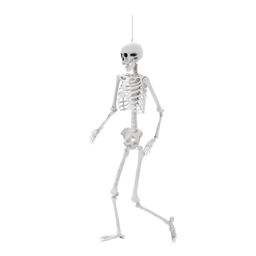 Living And Home (155cm) Posable Skeleton Model Halloween Party Decoration Props 2