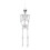 Living And Home (155cm) Posable Skeleton Model Halloween Party Decoration Props 1