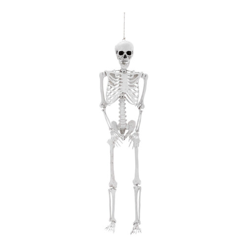 Living And Home (155cm) Posable Skeleton Model Halloween Party Decoration Props