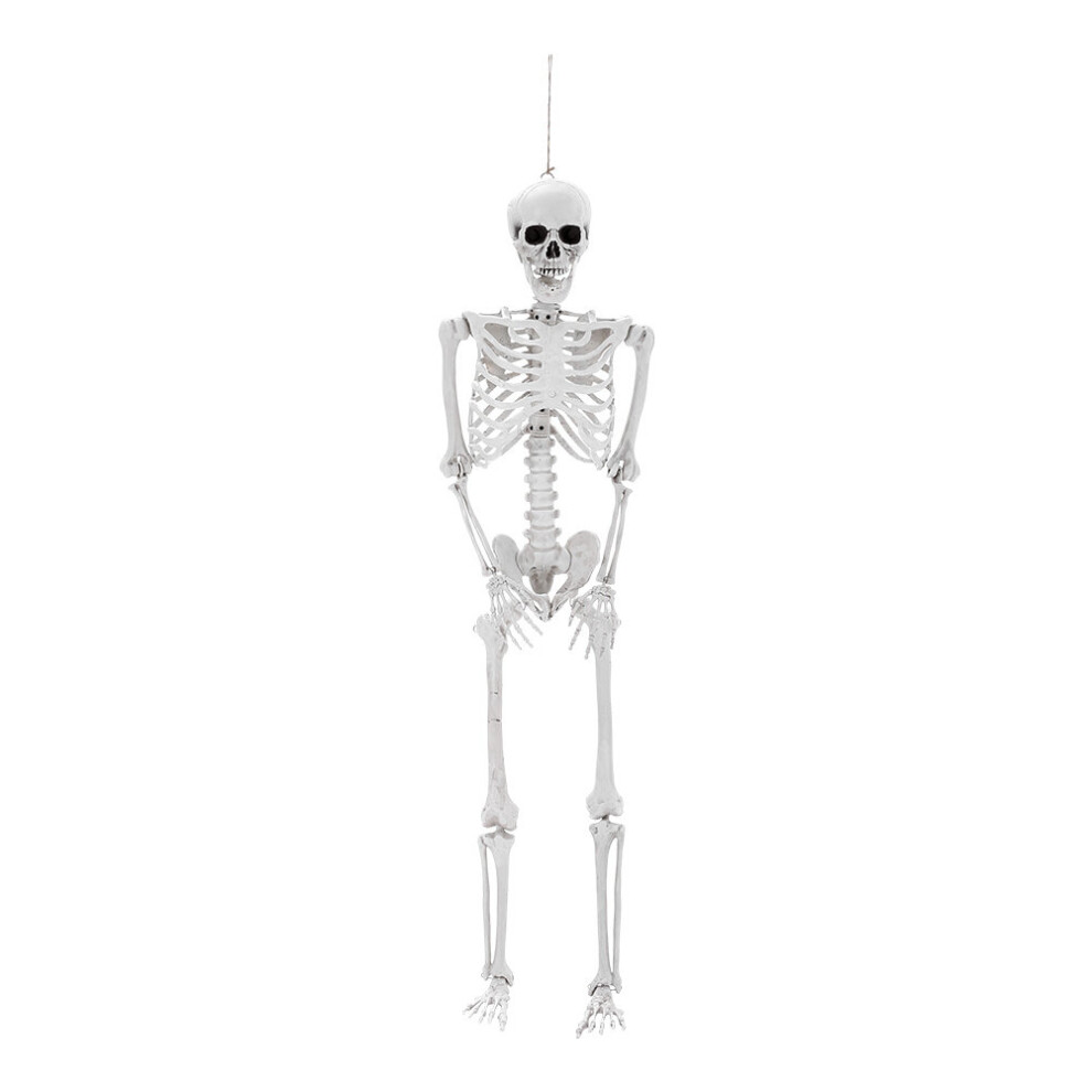 (155cm) Posable Skeleton Model Halloween Party Decoration Props