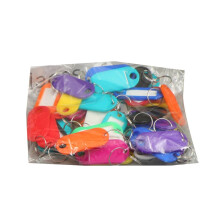 (Mix colors) 50 Pcs Keys Tags Practical Keys Labels with Split Ring and Label Window Keys Identifiers Luggage Tags Keychain Label Tag