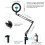 PULUZ 7.9 inch 20cm Ring Curved Light + Desktop Arm Stand 3