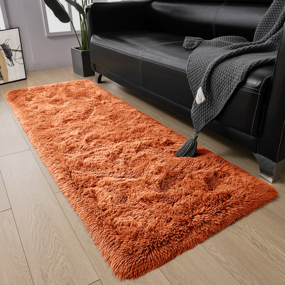 (Rust, 60 x 220 cm) Fluffy Shaggy Rugs Living Room Runner Carpet Mat