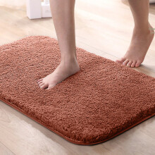 (Rust, 50 x 80 cm) Shaggy Non Slip Rugs Bedroom Living Room Area Rugs Hallway Runner Fluffy Carpets Bath Door Mats