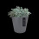 PURE STRAIGHT ROUND 35CM ANTHRACITE 7