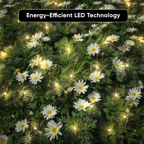Pack of 2 Outdoor Solar 120 LED String Lights Waterproof 2