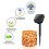 Pack of 2 Outdoor Solar 120 LED String Lights Waterproof 11
