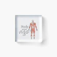 Acrylic Block Study your Gluteus Maximus Off Cube Art Prints Gifts 6 x 6 inch