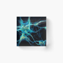 Acrylic Block Neuron network Brain cells art photo Cube Art Prints Gifts 6 x 6 inch
