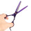 Pet scissors Dog Grooming 6