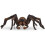Schleich Schleich Harry Potter Samlarfigur Aragog för Barn 6+ 1