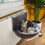 PETLICITY Deluxe Radiator Cat Bed 7