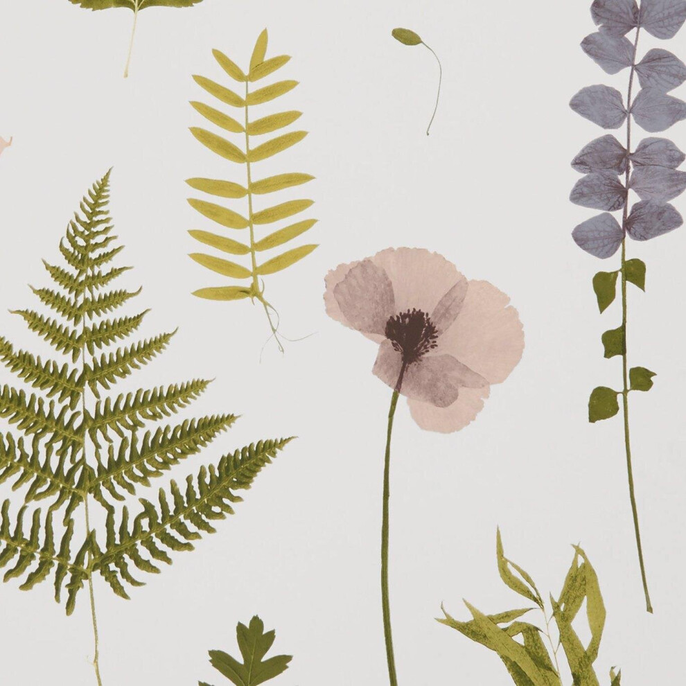 Clarke and Clarke Herbarium Blush Wallpaper Floral Flowers Nature Paste The Wall