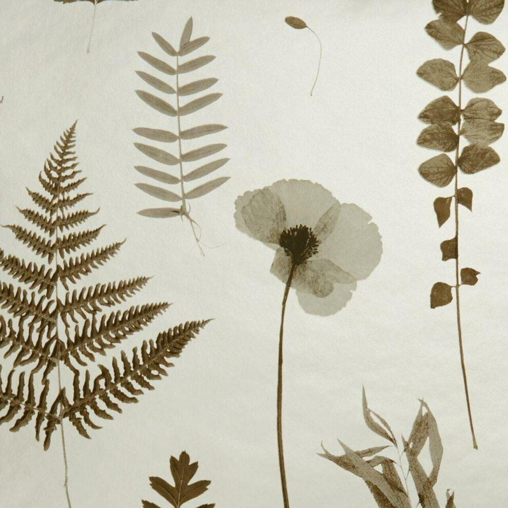 Clarke And Clarke Herbarium Charcoal Gold Wallpaper Floral Flower 5060040179642