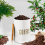 (WHITE) 4pcs Bread Bin Kitchen Set Sealed Tea Coffee Sugar Tins 4