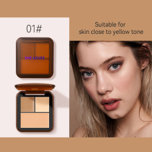 Long Lasting Concealer and Highlight Palette Cruelty Waterproof and Natural Glow Blusher and Eyeshadow Kit