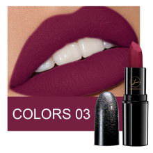 Longwear Matte Lipstick 6 Colors Smooth Velvet Finish Waterproof Hydrating Lightweight