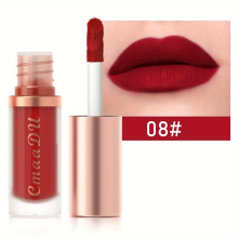12 colors Waterproof Matte Lip Glaze and Velvet Lipstick Long Lasting Smooth and Glossy Finish