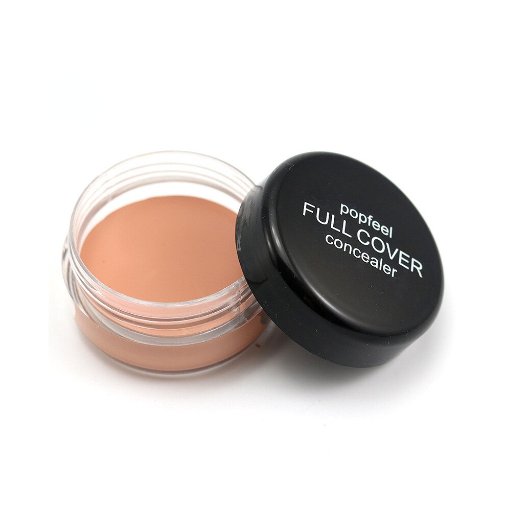 Long Lasting Liquid Foundation and Concealer for Flawless Skin Hides Blemishes Dark Spots and Eye and Lip Contouring Perfect for Makeup and Cosmetic E