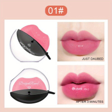 Long Lasting Shimmer Lipstick with Waterproof and Non Stick Formula for Fashionable and Matte Makeup