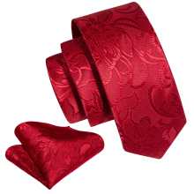Boys Cartoon Dinosaur Embroidery Tie Decorative Accessories For Party Performance Holiday Gift