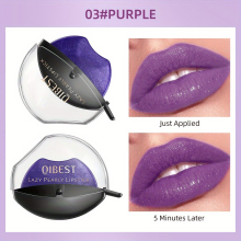 Long Lasting Matte Lipstick in 4 Colors Easy to Apply Non Fade Non Stick Cup Perfect for Travel and Everyday Use