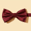 1PC Solid Performance Versatile Boys Bow Tie 4