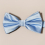 1PC Solid Performance Versatile Boys Bow Tie 10
