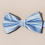 1PC Solid Performance Versatile Boys Bow Tie 11