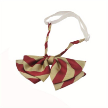 Stylish Plaid Bow Ties For Teen Girls Boys Children Perfect For School Uniforms Cosplay Student Ties