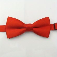 Childrens Glossy Double layer Plain Bow Tie
