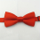 Childrens Glossy Double layer Plain Bow Tie 3