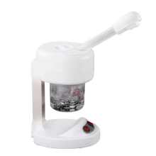 Facial Skin Care Steamer Professional Face Sprayer Salon Beauty Instrument