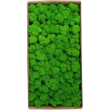 Preserved Moss Wall Decoration Real Preserved Moss No Maintenance Required Naturally Preserved Moss For Home Wall Party Festivals