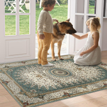 (Willow, 60 X 110 cm_Door Mat) Extra Large Rugs Traditional Carpets for Living Room Bedroom