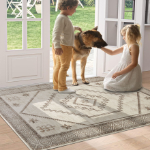 (Radiant, 60 X 110 cm_Door Mat) Extra Large Rugs Traditional Carpets for Living Room Bedroom