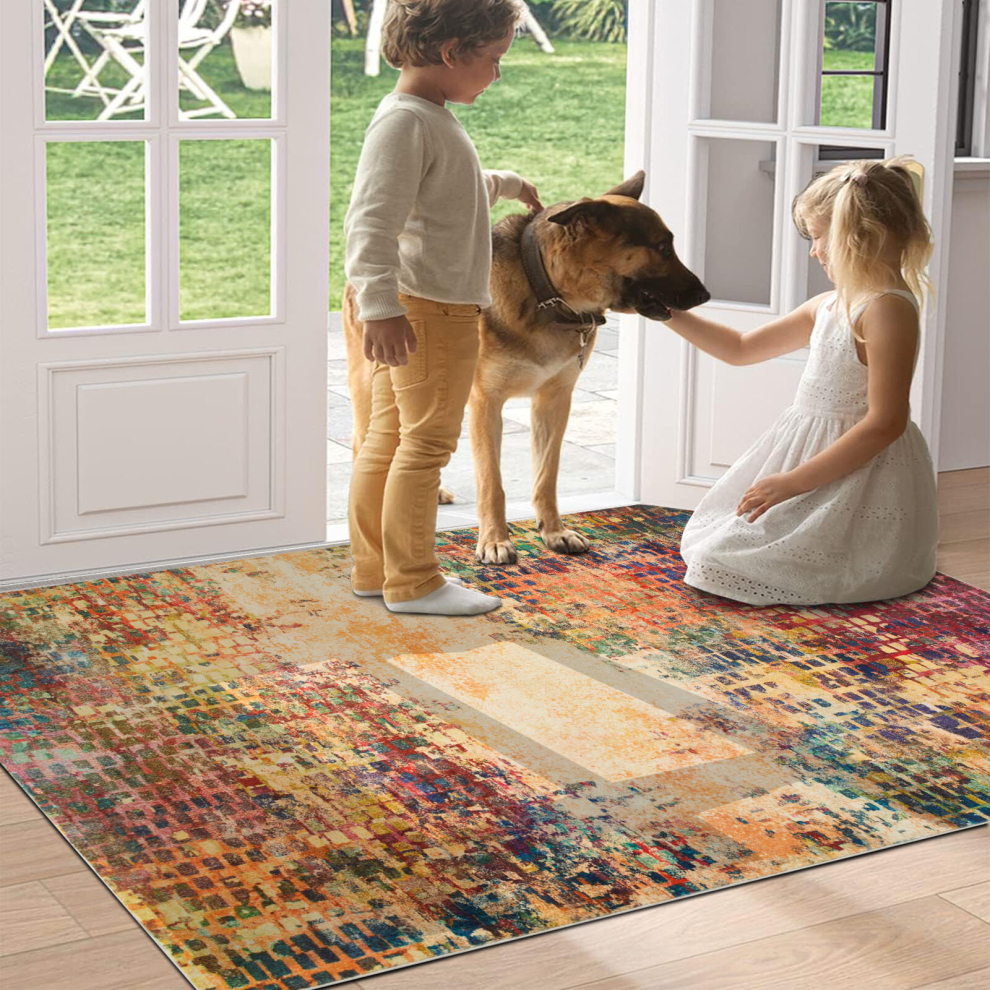 (Vibrant, 60 X 110 cm_Door Mat) Extra Large Rugs Traditional Carpets for Living Room Bedroom