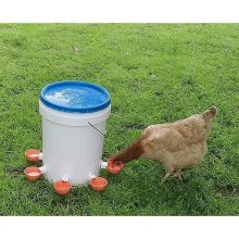 5 Pcs, Chicken Waterer, Automatic Chicken Waterer Kit, Automatic Chicken Waterers, Suitable For Birds, Poultry, Pigeons, Chickens, Ducks