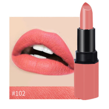 Mist Colorfast Moisturizing Matte Velvet Lipstick Cosmetic Long Lasting Waterproof