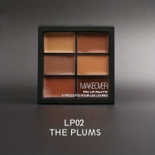 6 Lipstick Palette Matte & Shimmer Finish Nude Red Plum Lipstick Palette