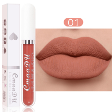 Long Lasting Matte Lipstick in 18 Vibrant Colors Waterproof and Durable